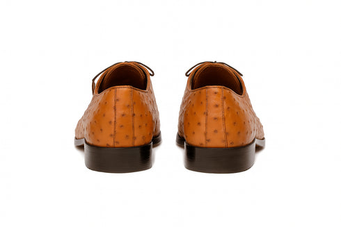 Marco Di Milano Criss Brandy Ostrich Quill Dress Shoe Oxfords