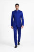 Mens 5 Button Mandarin Collar Tuxedo Suit in Navy