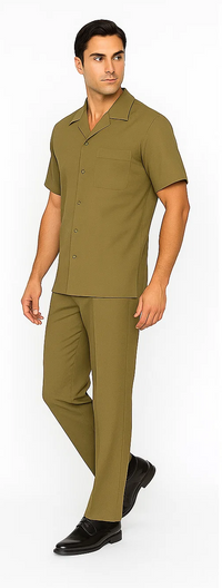 Mens Walking Suit in Color Safari Leisure Suit Casual Matching Shirt and Pants $99