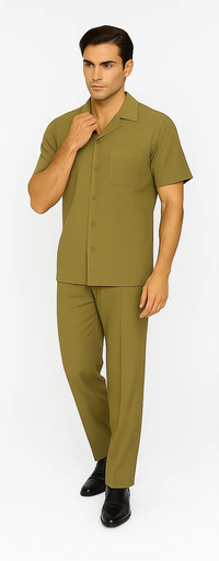 Mens Walking Suit in Color Safari Leisure Suit Casual Matching Shirt and Pants $99
