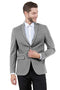 Mens Zegarie Brand Men's Basic Business Sport Coat Blazer in Grey