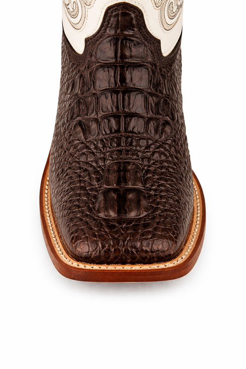 Ferrini Women's Rancher Square Toe Boots Crocodile Print - Chocolate/White 9049309
