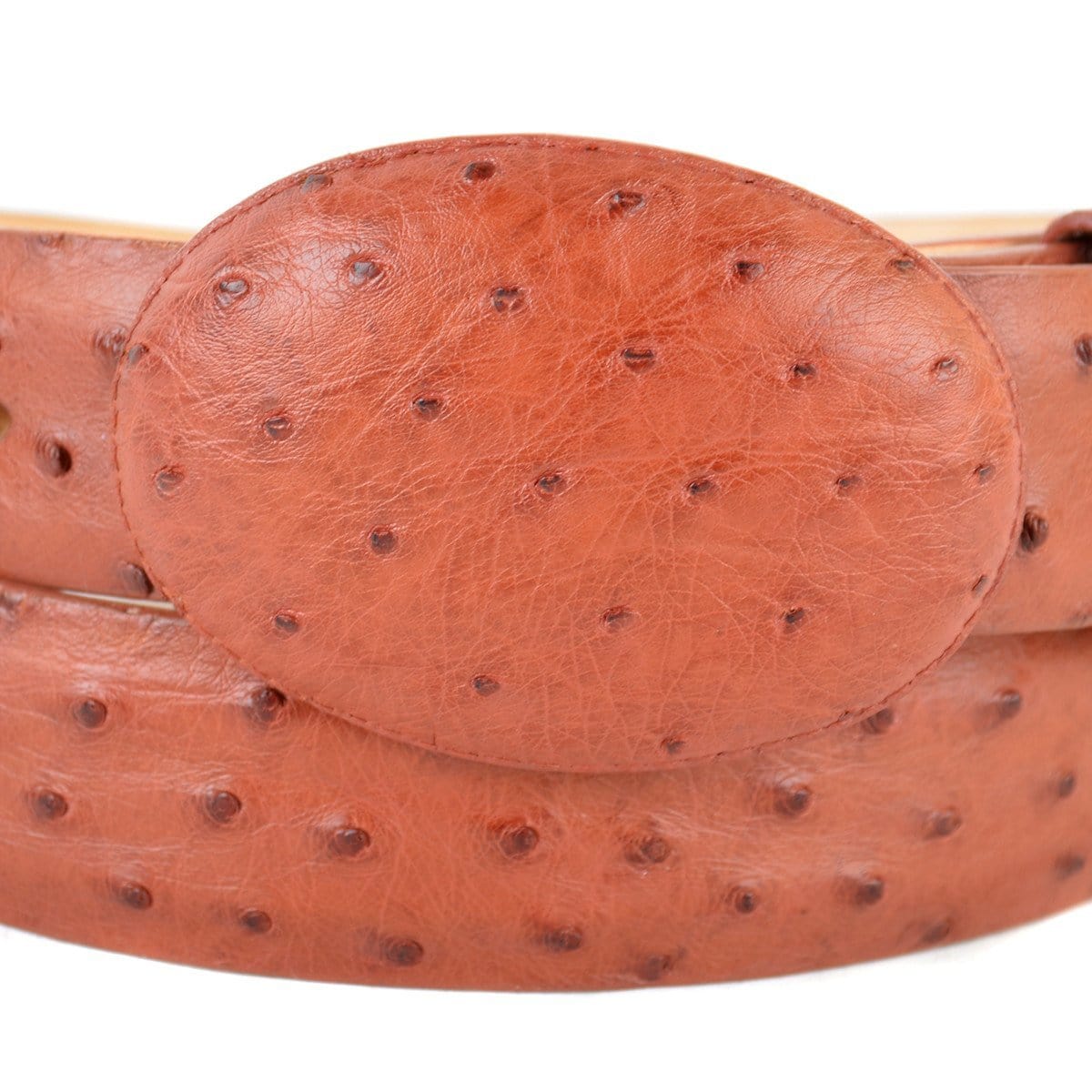 Men's Wild West Ostrich Leg Skin Cowboy Belt 2C110577 main image 1