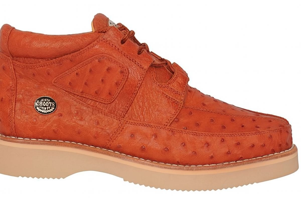 Sneaker Casual Avestruz Zig-Zag LAB-ZC091510 main image 1