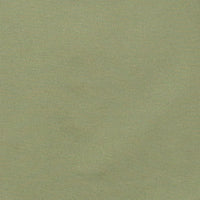 Men's Light Olive Two Piece Suit