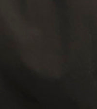 CARSON DRESS SHIRT Point Collar