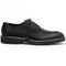 Zelli Campo Sueded Goatskin Lace-up Blucher Shoes in Black