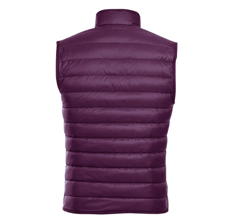 Berry Regular Classic Fit Goose Down Vest