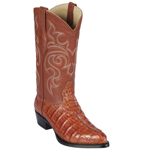 cognac caiman boots