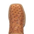 Dan Post Men’s Alamosa Tan Genuine Ostrich 11” Broad Square Toe Cowboy Certified Boot