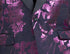 Lavender Slim Fit Fashion Jacket Shawl Lapel with Bow Tie