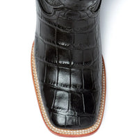 Ferrini Stallion - American Alligator