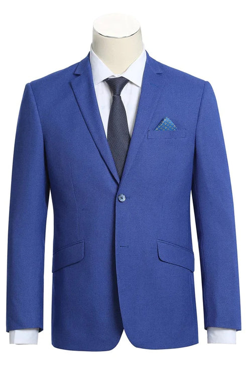 Mens two button slim fit sport coat blue purple blazer