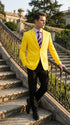 Men’s Bright Yellow Blazer – Classic Two Button Formal Sport Coat for Wedding, Party and Statement Wear