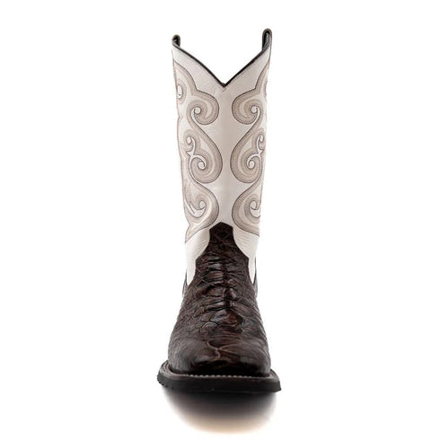 Ferinni Boot - Mens Dress Cowboy Boot  - Men's Ferrini Kai Sea Turtle Print Boots Handcrafted Brown  in Brown