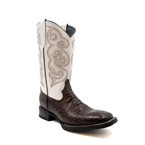 Ferinni Boot - Mens Dress Cowboy Boot  - Men's Ferrini Kai Sea Turtle Print Boots Handcrafted Brown  in Brown