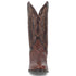 Dan Post Men’s Pershing Brown Full Quill Genuine Ostrich 13 Round Toe Cowboy Boot