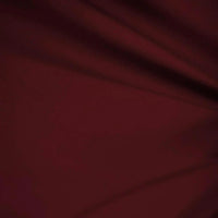Men's Burgundy Regular Fit Everyday Blazer