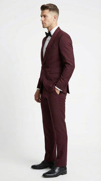 Men's Burgundy and Burgundy Shawl Lapel Tuxedo Suit | Classic Formal Wedding Prom Dinner Jacket Set