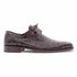 Genuine Crocodile Brown Anderson Lace-Up By Mezlan Made In Spain Brand