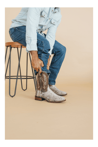 BRUTUS PYTHON BOOT
