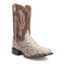 BRUTUS PYTHON BOOT