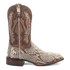 BRUTUS PYTHON BOOT