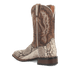 BRUTUS PYTHON BOOT