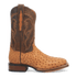 Dan Post Kershaw Full Quill Ostrich Boot - Luxury Western Style