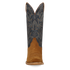 Dan Post Lanessa Leather Boot - Luxury Brown Ankle Boots
