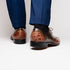 Marco Di Milano Anzio Exotic Alligator & Calfskin Leather Orix Brown Derby