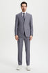 Men's Two Button Vested Stacy Adams Basic Designer Suit in Medium Grey
