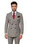  Grey with Red Plaid by Rossiman