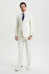 Men's Two Button Vested Stacy Adams Basic Designer Suit