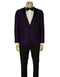 Purple Prom Suit - Purple Prom Outfit - Purple  Prom 1 Button Tuxedo