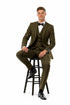 Men’s Olive Green Vintage Tweed Wedding Suit – Two Button Jacket with Vest