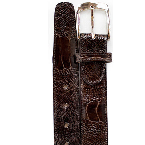 Men's Belvedere Genuine Ostrich Leg Dress Belt in Brown