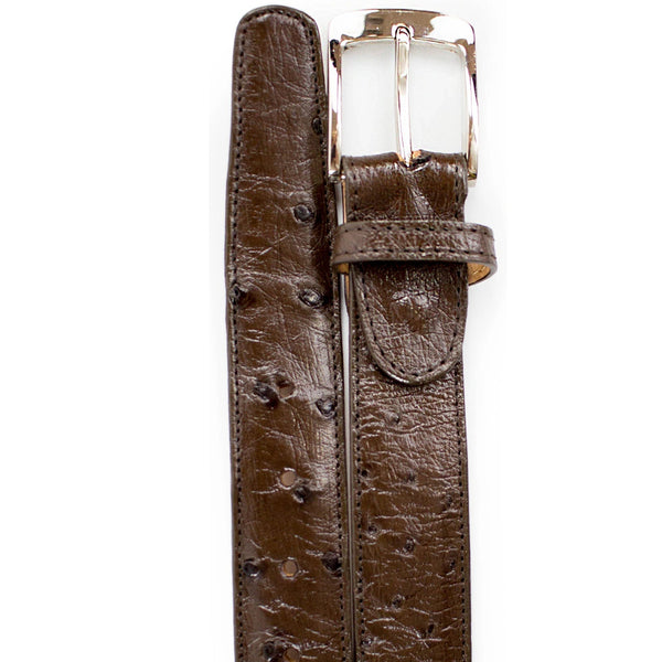 Men's Belvedere Genuine Ostrich Quill Dress Belt in Antique Peanut