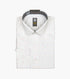 MCCARTHY DRESS SHIRT Spread Collar