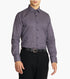 BRANFORD DRESS SHIRT Point Collar
