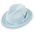 Castor Crushable Straw Hat Fedora in Sky Blue