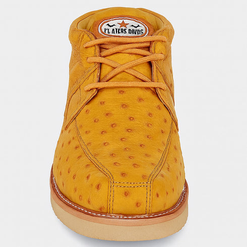 Zapato Avestruz Completo LAB-ZA0603