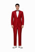 Adult Beetlejuice Wedding Wine Suit