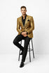 Alberto Nardoni Gold Men's Shiny Dinner Jacket Tuxedo