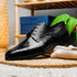 Zelli Andrea Genuine Crocodile Cap Toe Derby Shoes in Black