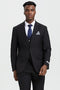 Men's Two Button Vested Stacy Adams Designer Basic Suit In Black