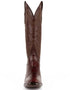 Ferrini Men's Stallion Alligator Belly Boots French Toe Handcrafted Chocolate 1074109