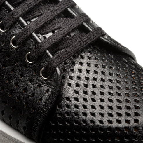 Mezlan Luce Perforated Sneaker Black (21154)