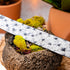 Marco_Di_Milano Domenico Belt Antique Newspaper Leather Shoe