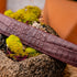 Marco Di Milano Riccardo Belt Wine Leather Shoe